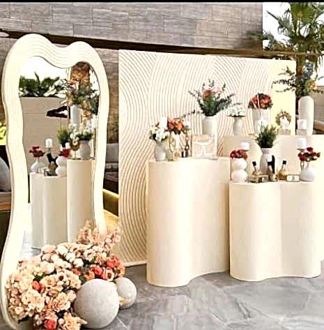 naryaorganizasyon (15)